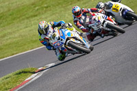 Middle 2 Group Multicolour Bikes